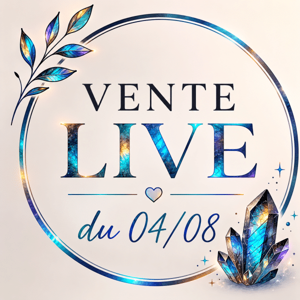 vente live lithotherapie johann chevillard